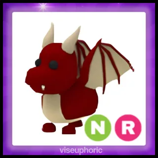 NR Dragon