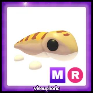 MR Sandfish 