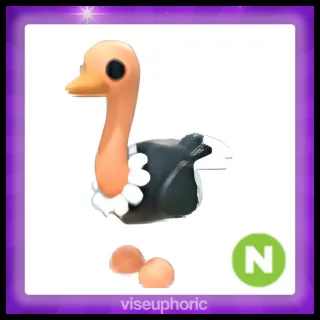 Neon Ostrich