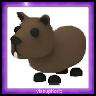 Capybara