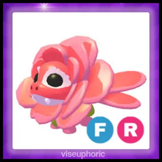FR Rose Dragon