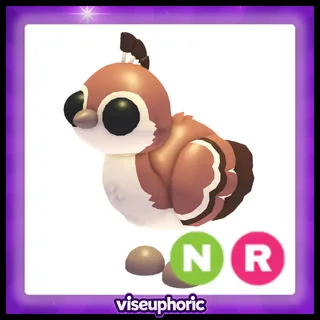 NR Peachick