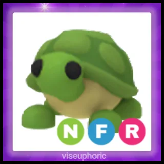 NFR Turtle