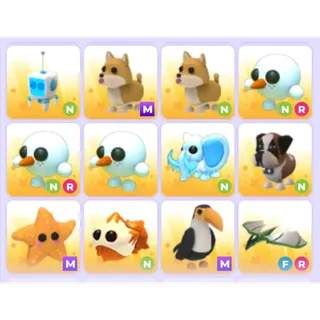 Pets Bundle - Adopt Me