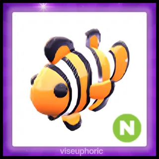 Neon Clownfish 