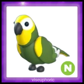 Neon Green Amazon