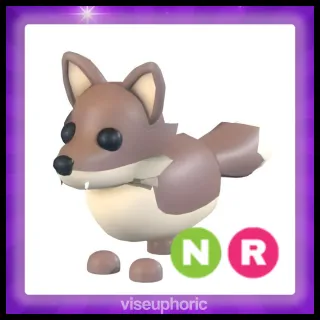 NR Coyote 