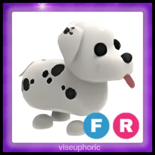 FR Dalmatian