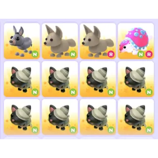 Pets Bundle - Adopt Me