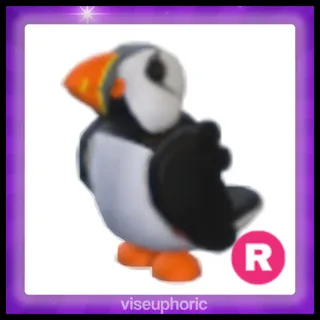 R Puffin