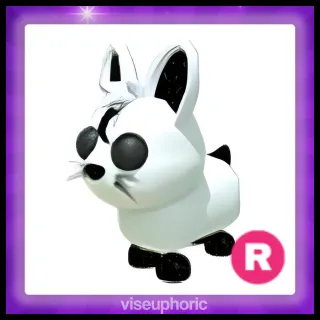R Moon Rabbit