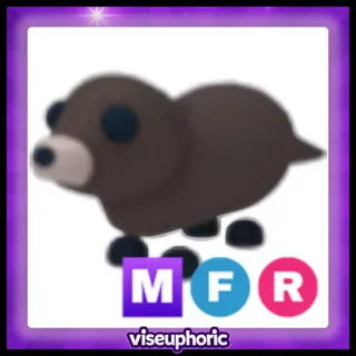 MFR Otter