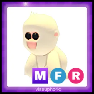 MFR Snow Monkey
