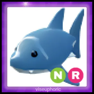 NR Shark