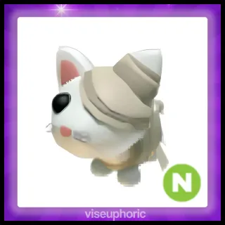 Neon White Mummy Cat