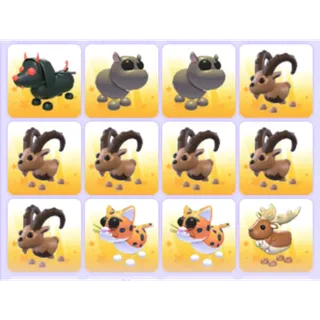 Pets Bundle - Adopt Me
