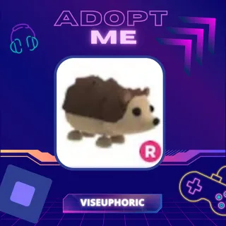 Pet | R Hedgehog