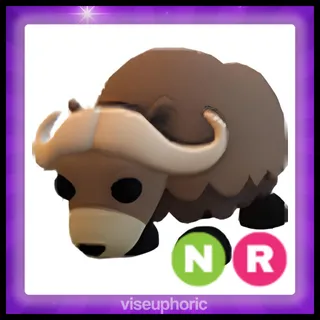 NR Musk Ox 