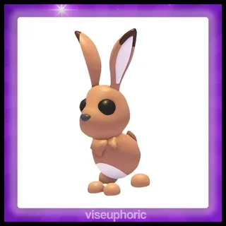 Hare