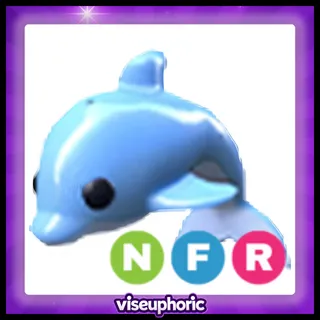 NFR Dolphin