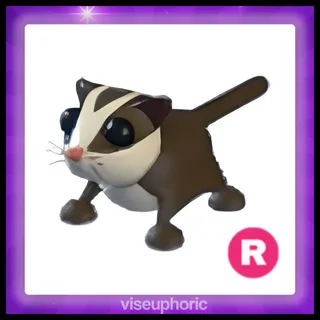 R Sugar Glider