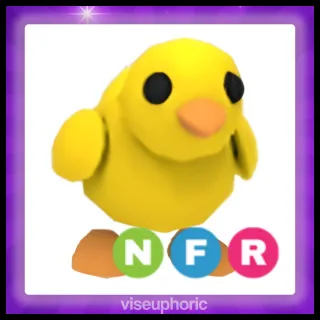 NFR Chick