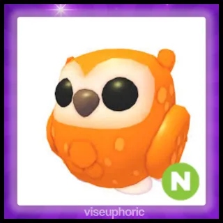 Neon Clementine Owl