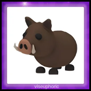 Wild Boar
