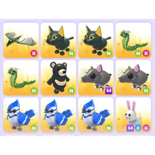 Pets Bundle - Adopt Me