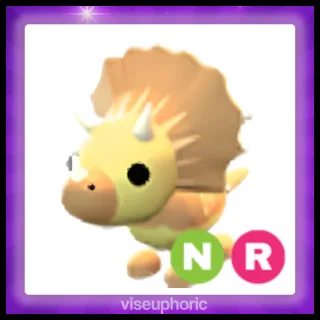 NR Triceratops