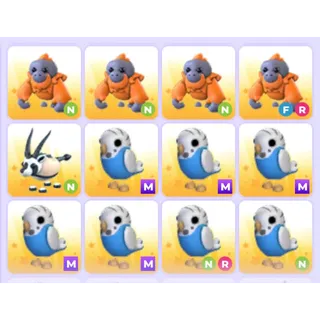 Pets Bundle - Adopt Me
