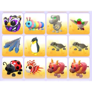 Pets Bundle - Adopt Me