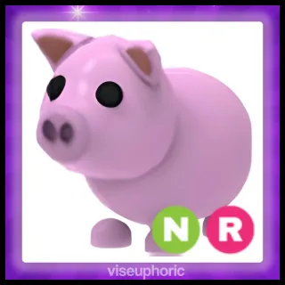 NR Pig