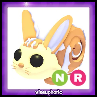 NR Bunny Swirl 