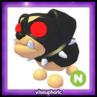 Neon The Black Dog 
