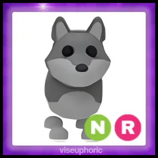 NR Wolf