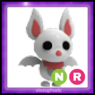 NR Albino Bat