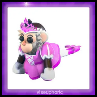 Princess Capuchin Monkey