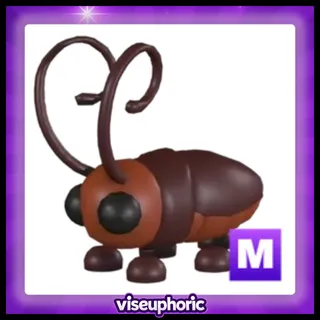 Mega Cockroach