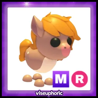MR Show Pony