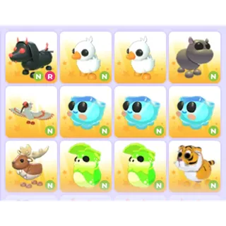 Pets Bundle - Adopt Me