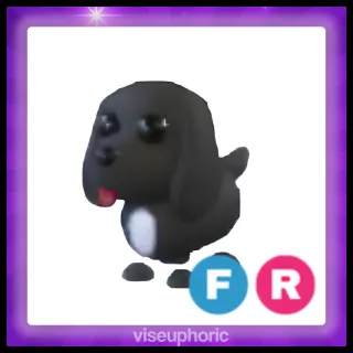 FR Royal Palace Spaniel