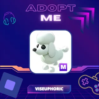 M Poodle