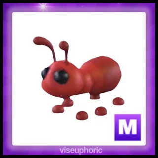 Mega Ant 
