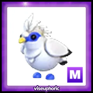 Mega Bali Starling