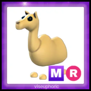 MR Camel