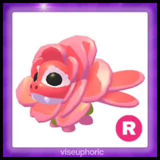 R Rose Dragon 