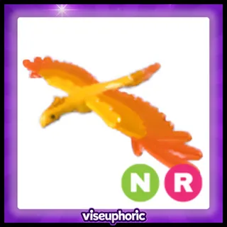 NR Phoenix