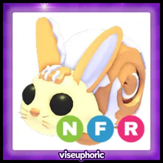NFR Bunny Swirl