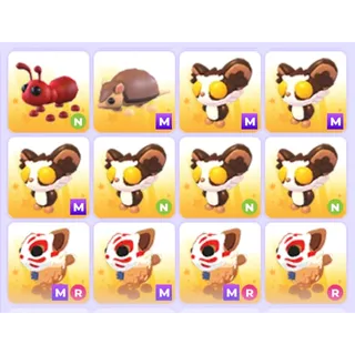 Pets Bundle - Adopt Me